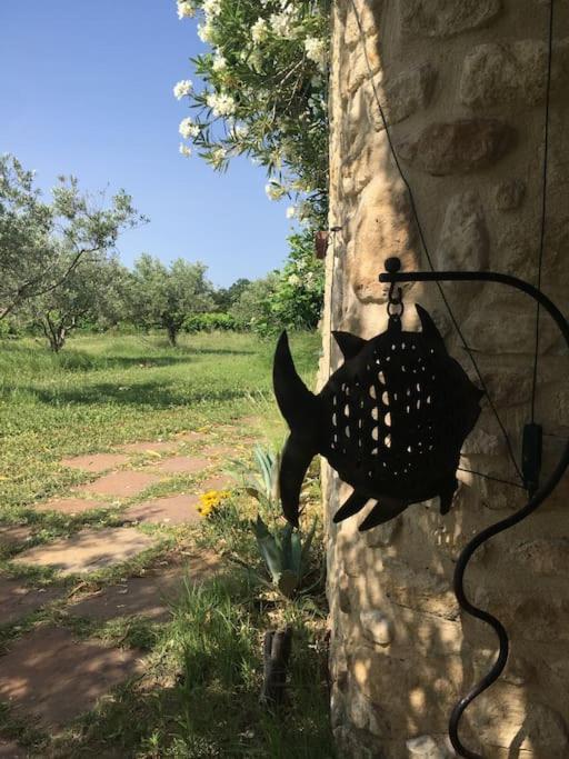 Caromb Gite Des Amis Domaine De Mas Caron מראה חיצוני תמונה