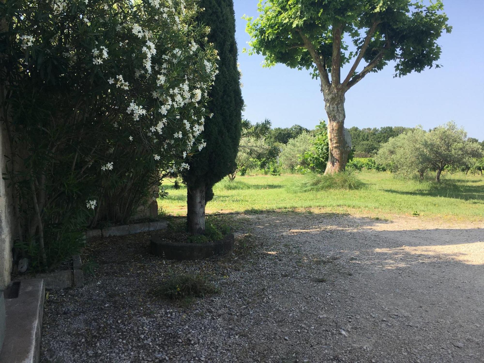 Caromb Gite Des Amis Domaine De Mas Caron מראה חיצוני תמונה